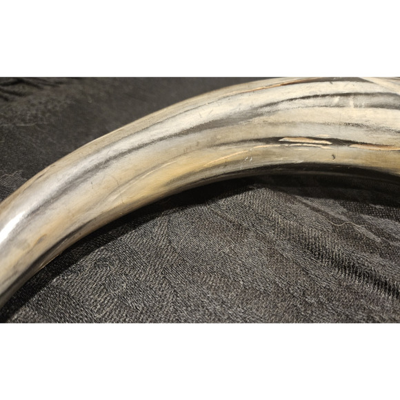 Vintage 1940s 21" Taxidermy Horn w/ 6" Magnifying Glass Optical Lens - Rare Find - Picture 8 of 10